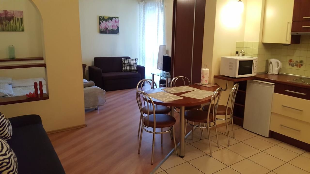 Апартаменты Apartament studio Закопане